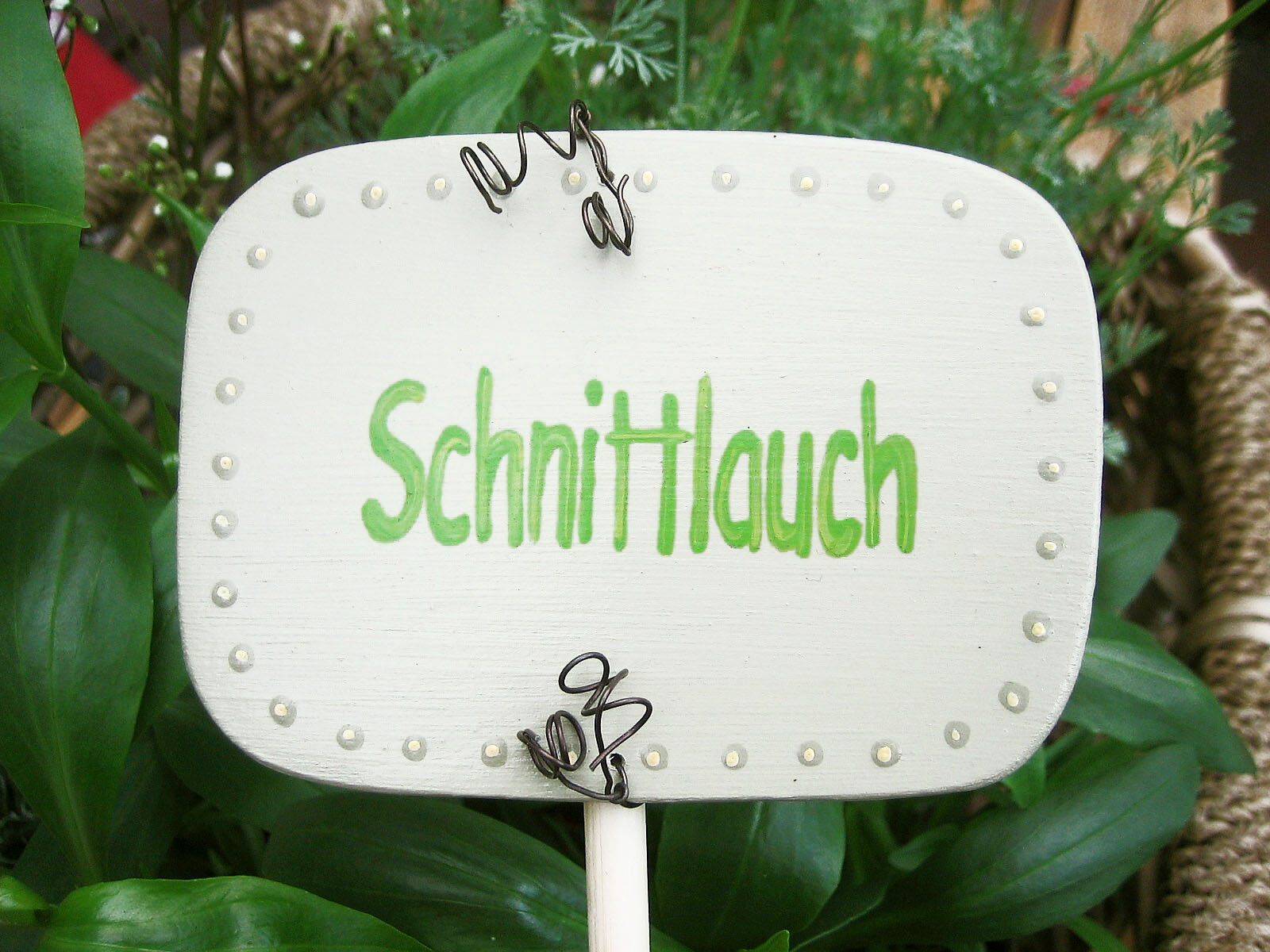 Kruterschild Schnittlauch