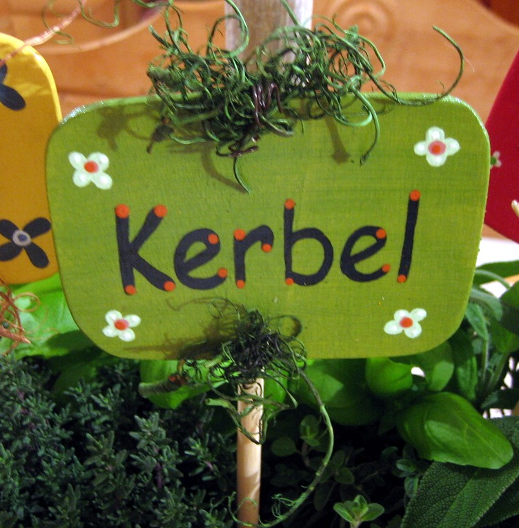 Pflanzstecker bunte Vielfalt Curly Kerbel