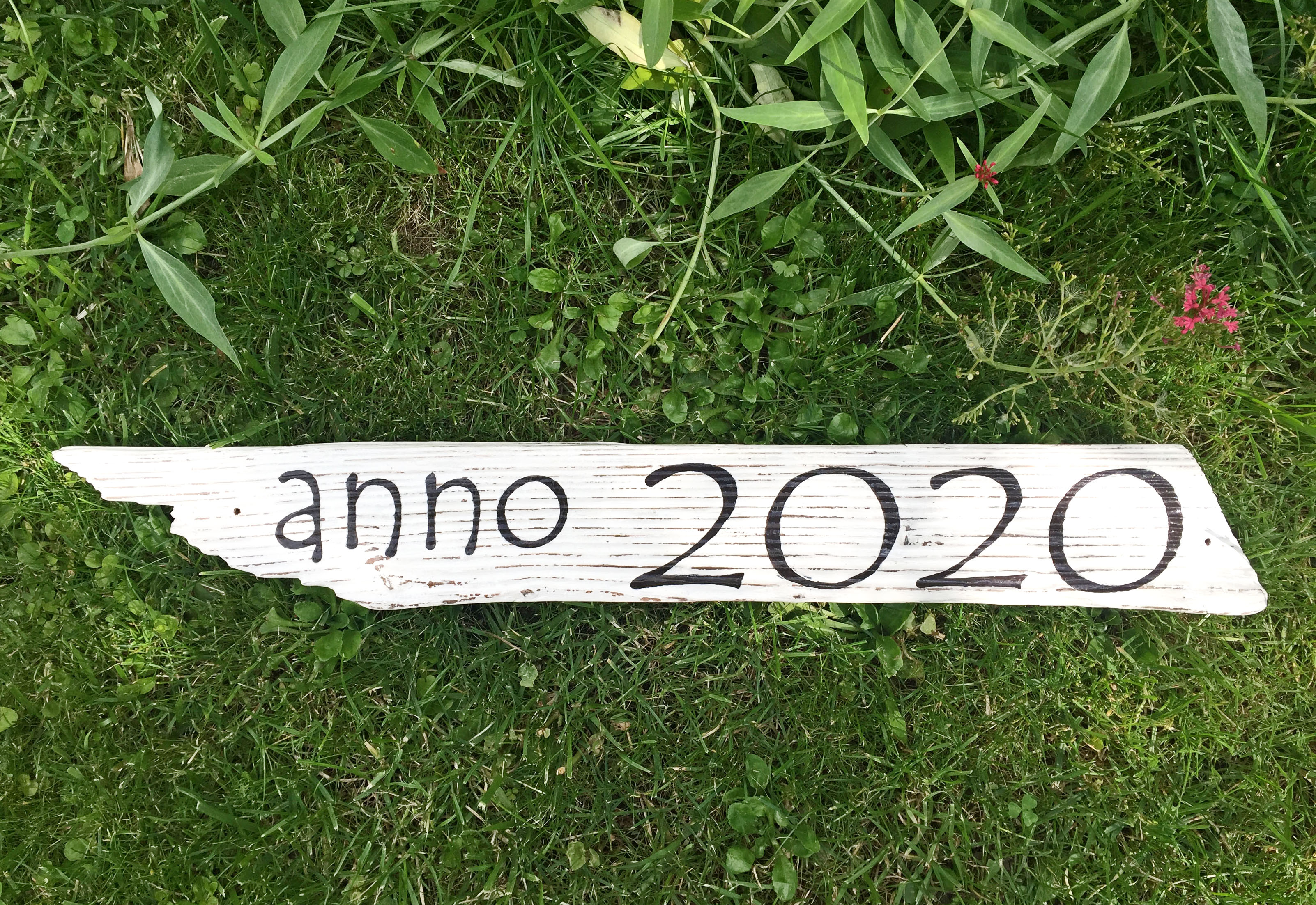 anno 2020 auf Treibholz