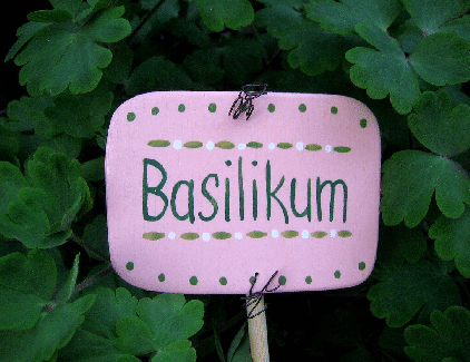 Pflanzstecker bunte Vielfalt Drahltlckchen Basilikum