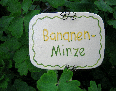 Pflanzstecker bunte Vielfalt Drahtlckchen Bananen Minze