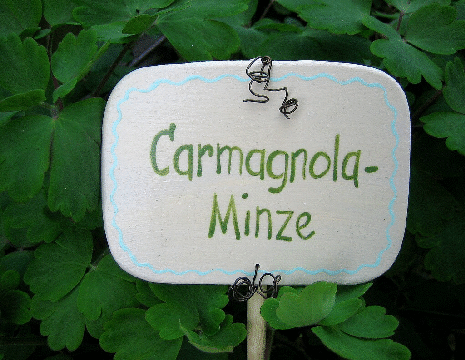 Pflanzstecker bunte Vielfalt Drahtlckchen Carmagnola Minze