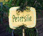 Pflanzstecker bunte Vielfalt Petersilie