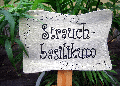 Plfanzstecker Antiklook Borretsch Ornament